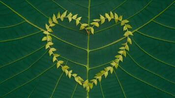 ai generado hoja modelo naturaleza marco diseño corazón conformado verde hojas foto