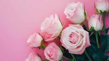 AI generated Delicate pink background with blooming roses in close up view photo