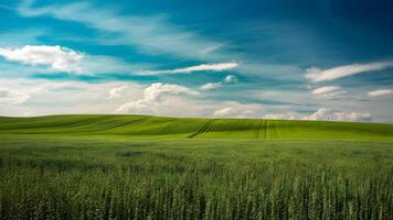 ai generado azul cielo encima lozano verde campos, un sereno campo foto