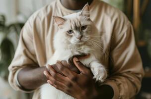 ai generado hombre de plataforma blanco felino foto