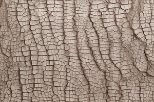 AI generated Crocodile White Leather Texture Background, Crocodile White Leather Background, Leather Texture, Crocodile Leather 3D Texture, Crocodile Skin Texture, AI Generative photo