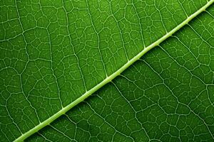 AI generated Close up Green Leaf Texture, Macro Leaves Texture Background, Green Leaf Macro photography, AI Generative photo