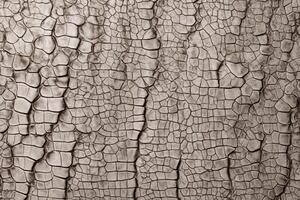 AI generated Crocodile White Leather Texture Background, Crocodile White Leather Background, Leather Texture, Crocodile Leather 3D Texture, Crocodile Skin Texture, AI Generative photo