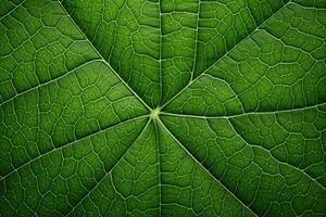 AI generated Close up Green Leaf Texture, Macro Leaves Texture Background, Green Leaf Macro photography, AI Generative photo