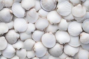 AI generated Lustrous White shellfish pattern. Generate Ai photo