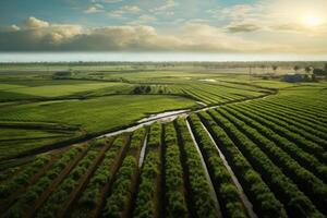 ai generado sereno campo agrícola paisaje tractor. generar ai foto