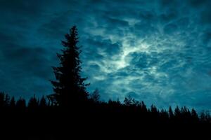 místico noche, silueta bosque arboles debajo el lleno Luna y nublado cielo. foto