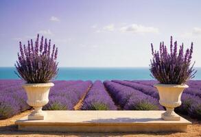 AI generated 3D Wooden Podium with Lavender color Background for Calming Product Display photo