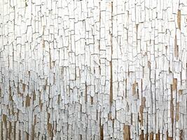 Clásico de madera textura mejorado con elegante blanco pintar finalizar. foto