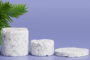 Marble circle pedestal and fern leaves photo