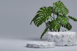 Marble circle pedestal and monstera leaves. Empty circle product display with monstera photo