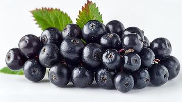 AI generated A bunch of Elderberry fruits with leaves on a white background photo