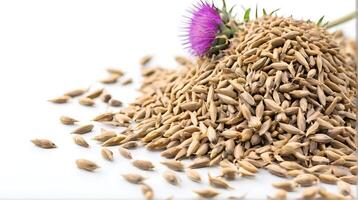 AI generated Medicinal plants milk thistle seeds on a white background photo