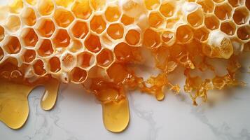 AI generated A close-up of a fresh honeycomb on a white background photo