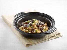 Stewed Diced Sea Cucumber with Tofu in Casserole served in a dish isolated on wooden board side view on grey background photo