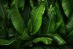 AI generated Banana leaves forming a natural background. Generative AI photo