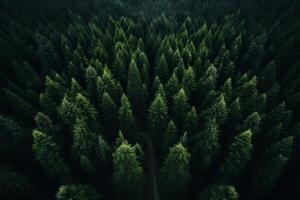 ai generado aéreo ver de un sereno bosque capturado por zumbido tecnología. generativo ai foto