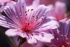 ai generado un extremo de cerca de el delicado pétalos de un flor silvestre. generativo ai foto