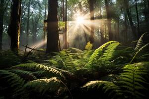 ai generado iluminado por el sol cubierto de helechos bosque piso creando un sereno y mágico atmósfera. generativo ai foto