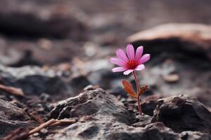 ai generado un cerca arriba de un flor floreciente en contra todas posibilidades en un duro ambiente. generativo ai foto