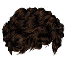 trendy curly hairs dark brown brunette. medium length . beauty style vector