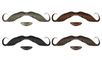 set vector Beard and swirl mustache different colors.