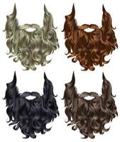 set long curly  beard and mustache different colors. vector