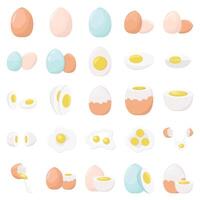 Illustration of egg pack vector