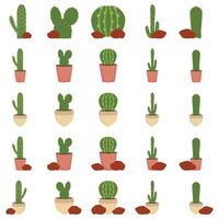 ilustración de cactus paquete vector