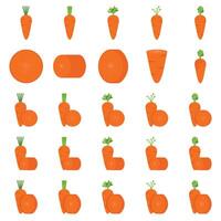 Illustration of carrot pack vector