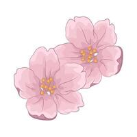 Illustration of cherry blossom vector