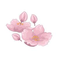 ilustración de Cereza florecer vector