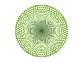 abstract geometric hexagonal line art vector