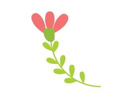 Hand drawn wildflower spring floral flower vector illustration