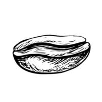 Coffee bean, black and white vector illustration. For packaging, logos and labels. For banners, flyers, menus and posters.