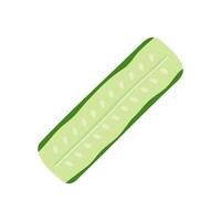 Ripe cucumber slice food vector illustration