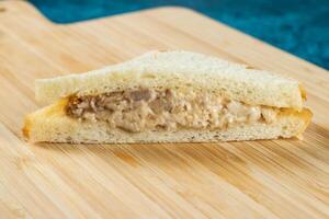 Fresh club sandwich filled with chicken and mayo dip isolated on table top view of indian food photo