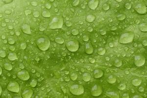 macro verde hoja con brillante gotas de lluvia foto