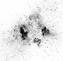 Dynamic Abstract Explosion of Black Particles. photo