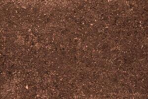 Vintage tone of Soil texture photo