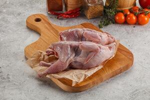 Raw gurmet quail bird preparation photo