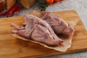 Raw gurmet quail bird preparation photo