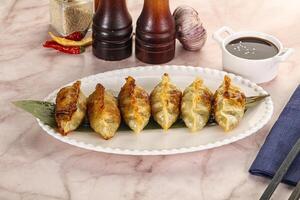 Fried Japanese stuffed dumplings - Gyoza photo