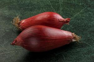 Violet raw onion for cooking photo