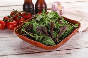 Mix salad in the bowl photo