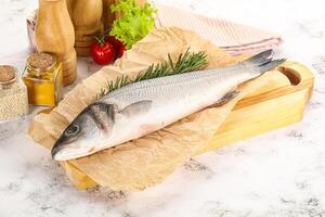 Raw seabass fish for cooking photo