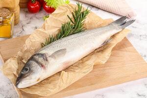 Raw seabass fish for cooking photo