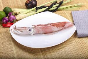 Raw fresh squid for cooking photo