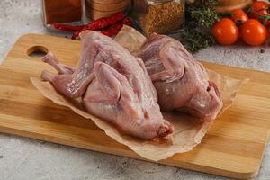 Raw gurmet quail bird preparation photo