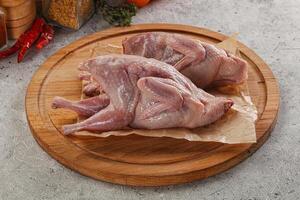 Raw gurmet quail bird preparation photo